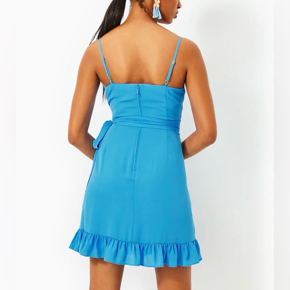 Lilly Pulitzer Alisa Dress - Picture 3 of 6